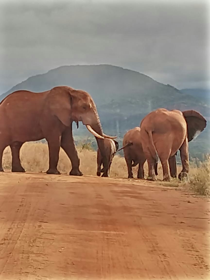 Praying will take you where playing can't take you!