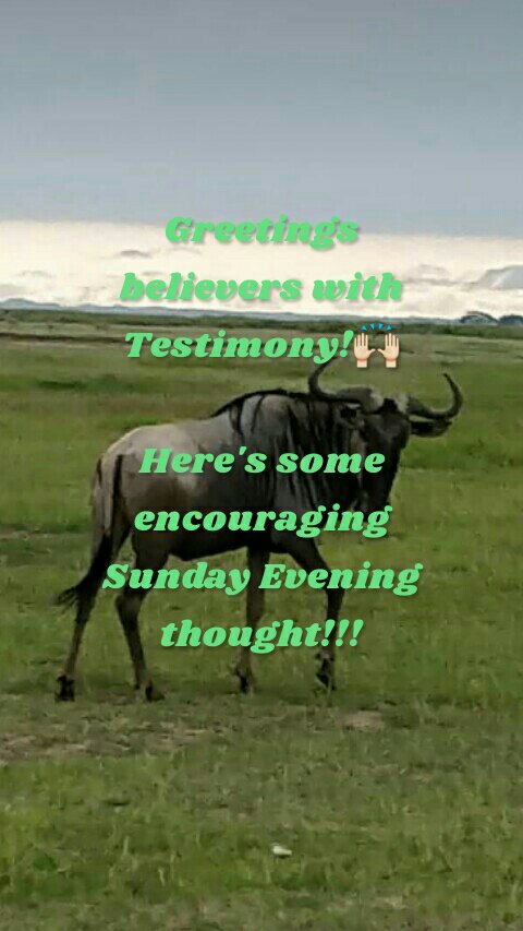 
Greetings believers with Testimony!🙌

Here's some encouraging Sunday Evening  thought!!!

